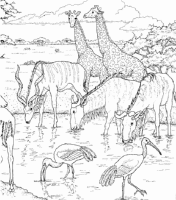 A coloring page of nature in africa